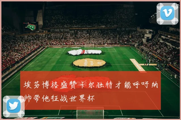 埃芬博格盛赞卡尔独特才能呼吁纳帅带他征战世界杯