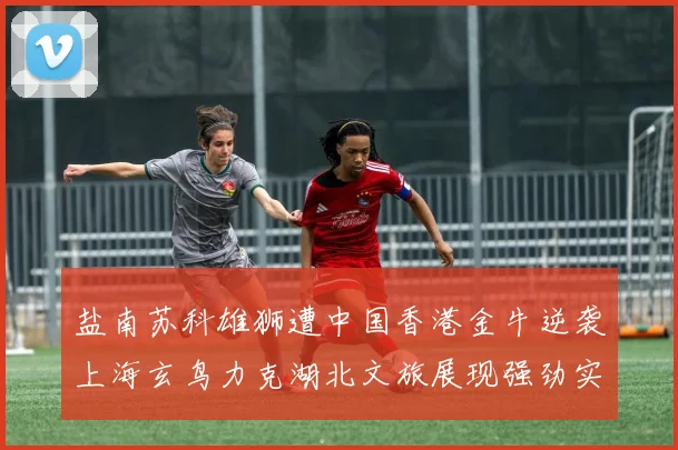 盐南苏科雄狮遭中国香港金牛逆袭上海玄鸟力克湖北文旅展现强劲实力